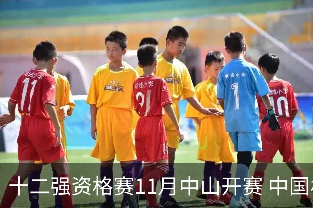 十二强资格赛11月中山开赛 中国棒球冲击顶级大赛